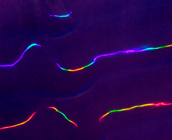 Radial rainbows