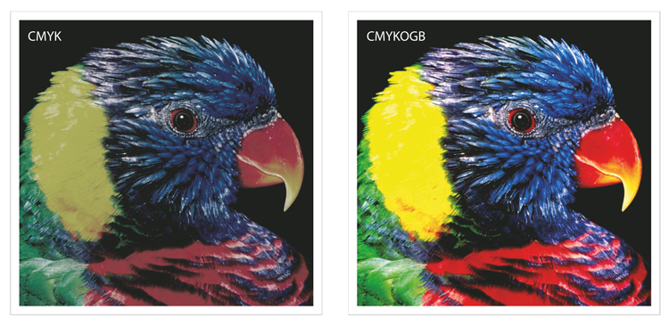 Multicolor (CMYKOGB) vs regular CMYK